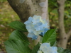 img0131.jpg