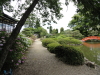 img0159.jpg