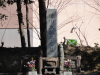 img0004.jpg