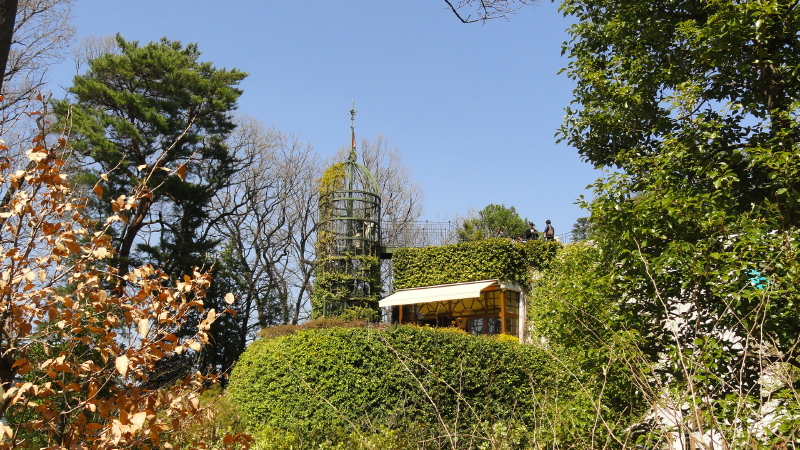 img0017.jpg