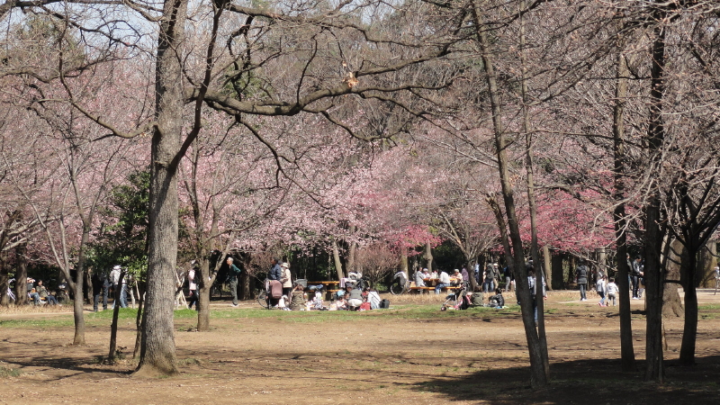 img0020.jpg