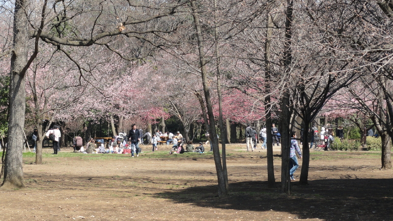 img0021.jpg