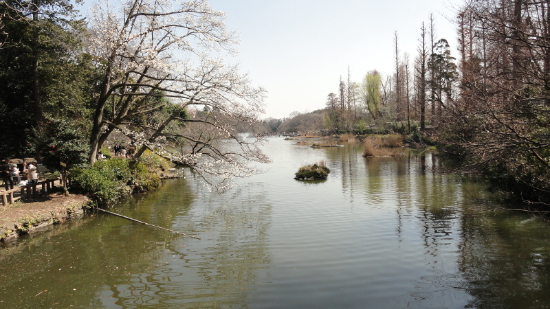 img0024.jpg