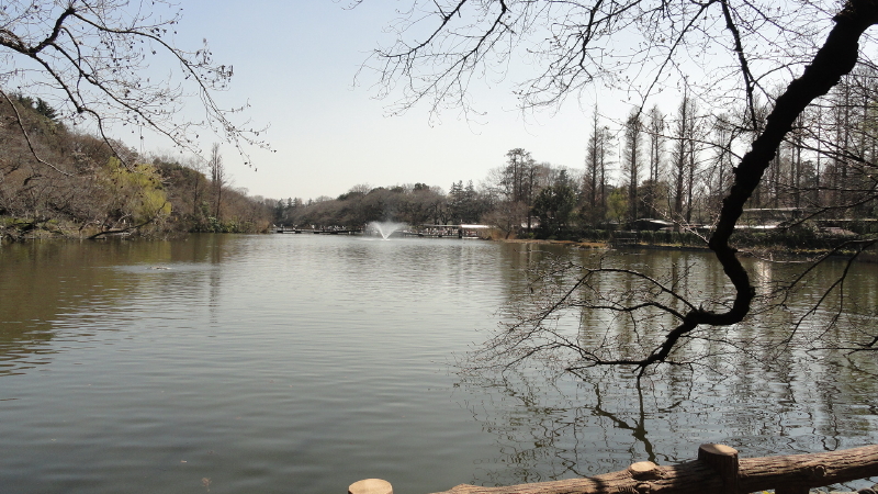 img0026.jpg