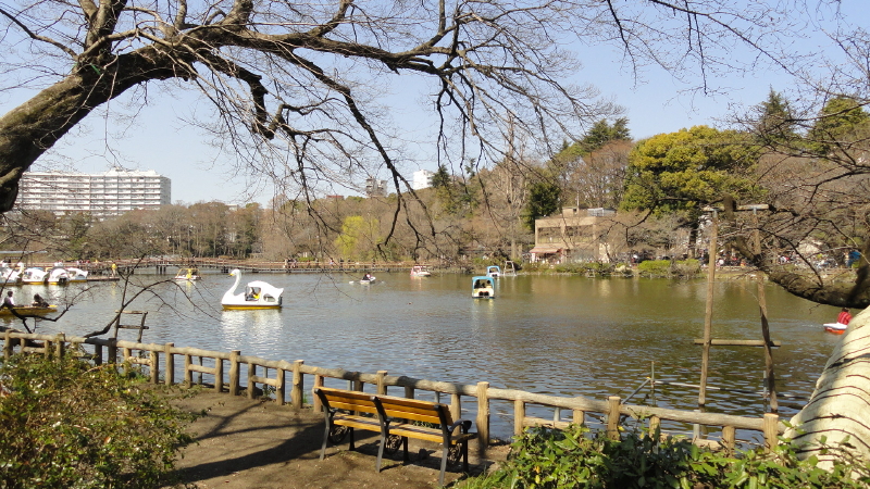 img0029.jpg