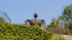 img0016.jpg