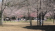 img0021.jpg
