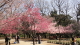 img0022.jpg