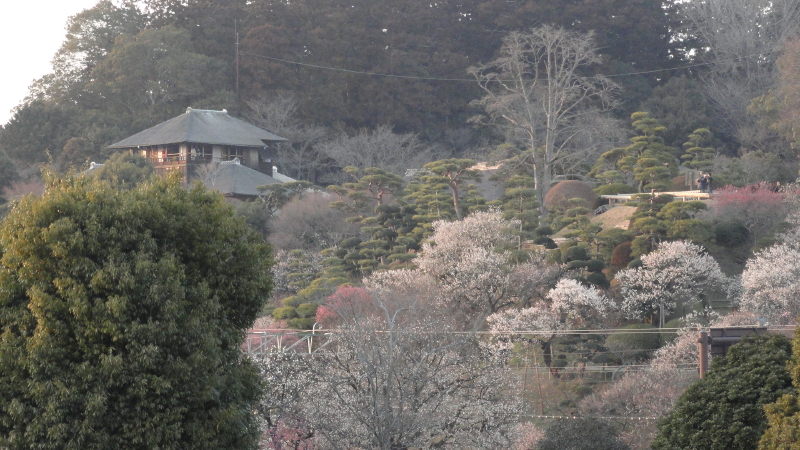 img0005.jpg