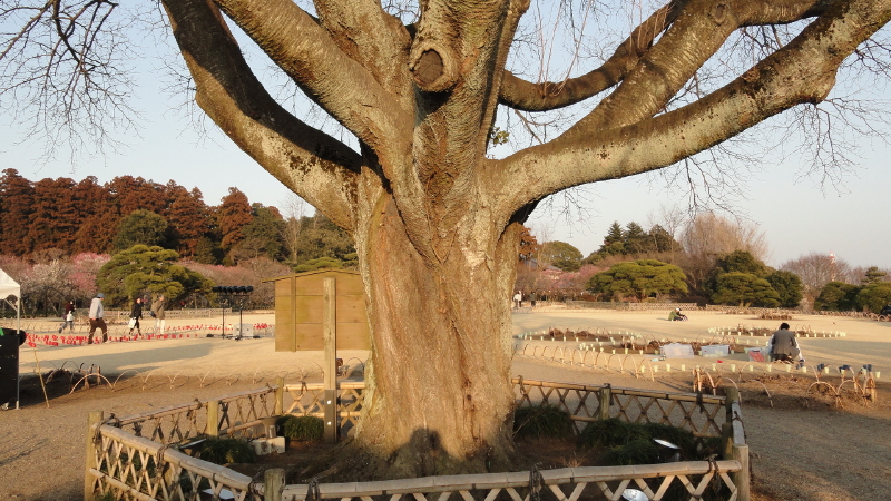 img0023.jpg