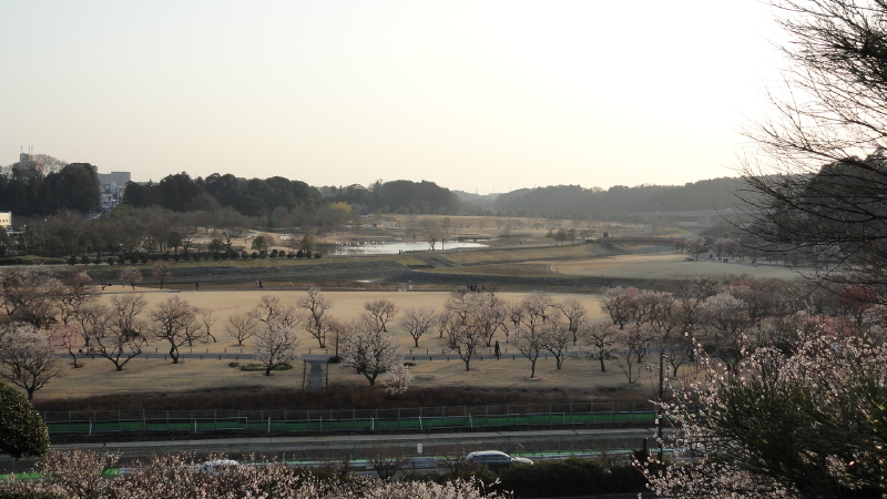 img0028.jpg