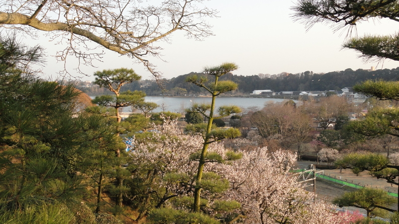 img0029.jpg
