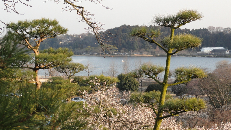 img0030.jpg