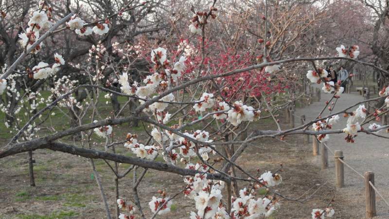 img0037.jpg