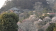 img0005.jpg