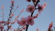 img0007.jpg