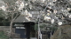 img0014.jpg