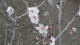 img0016.jpg