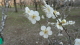 img0017.jpg