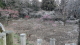 img0018.jpg