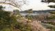 img0029.jpg