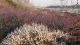 img0033.jpg