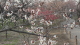 img0037.jpg