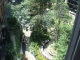 img0011.jpg