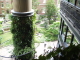 img0016.jpg