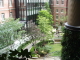 img0017.jpg