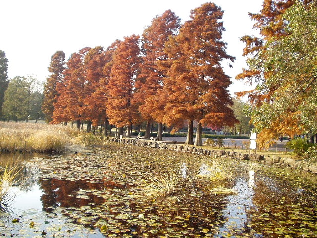 img0002.jpg