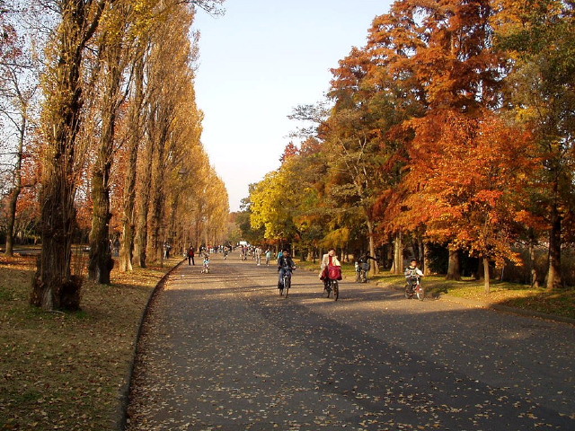 img0004.jpg