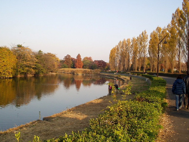 img0005.jpg