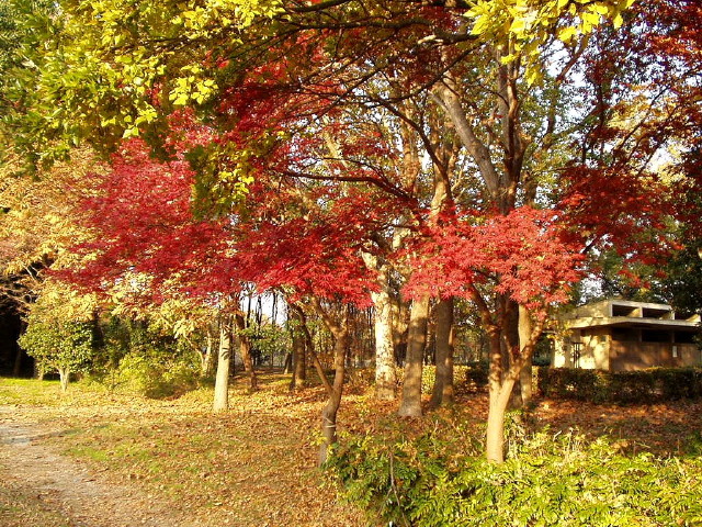 img0006.jpg