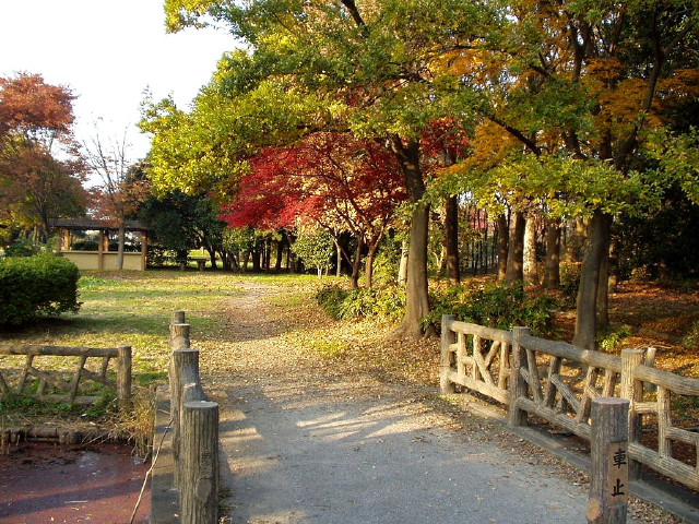 img0008.jpg