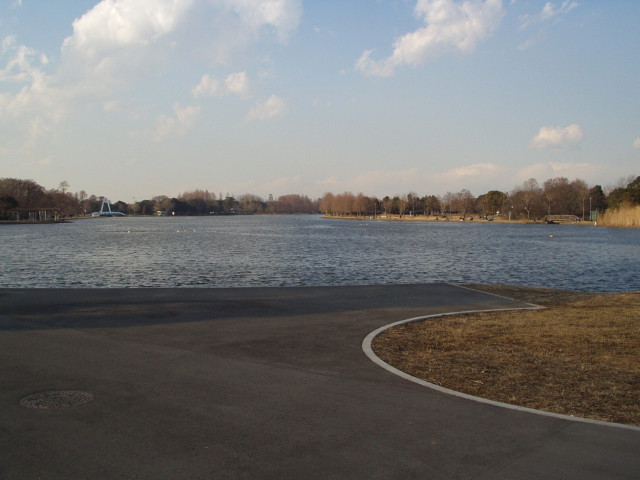 img0016.jpg