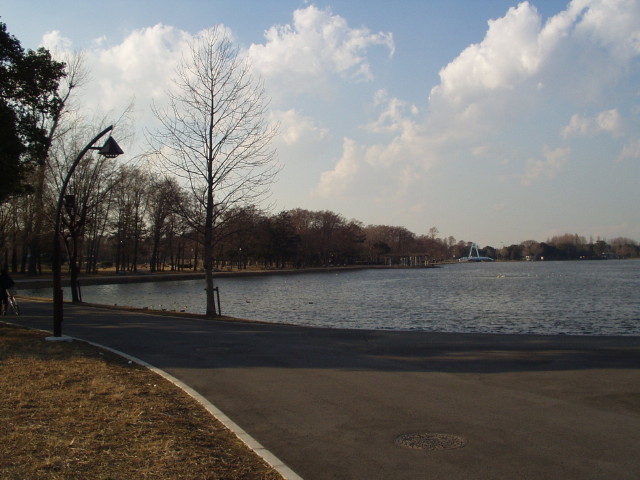 img0017.jpg