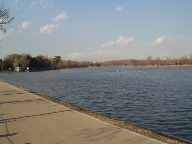 img0018.jpg