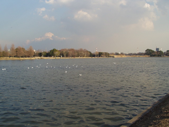 img0020.jpg