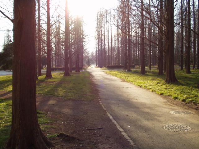 img0026.jpg
