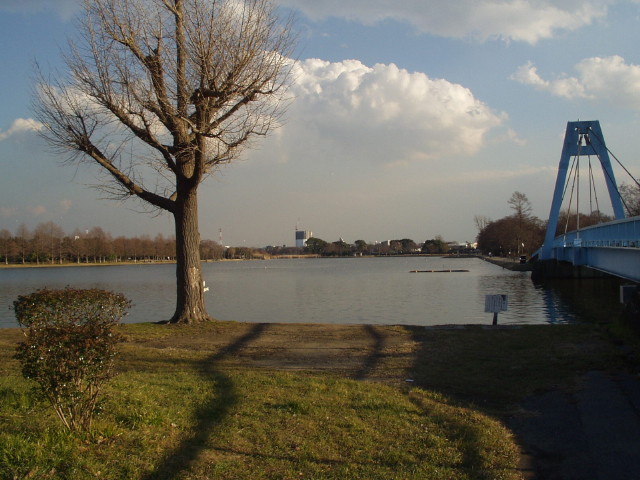 img0028.jpg