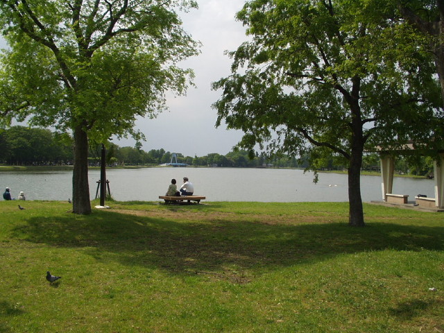 img0030.jpg