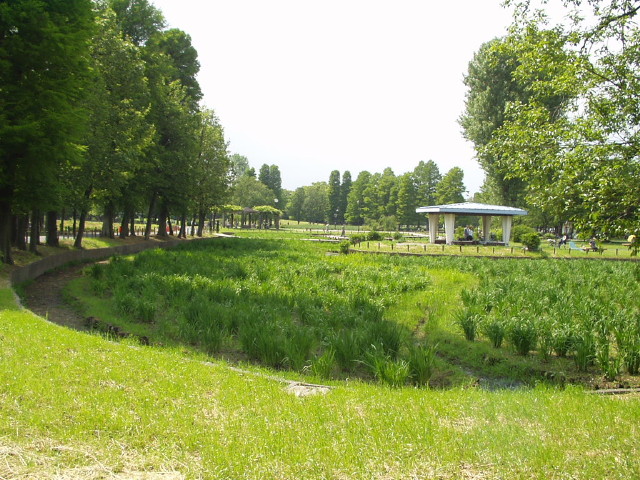 img0032.jpg