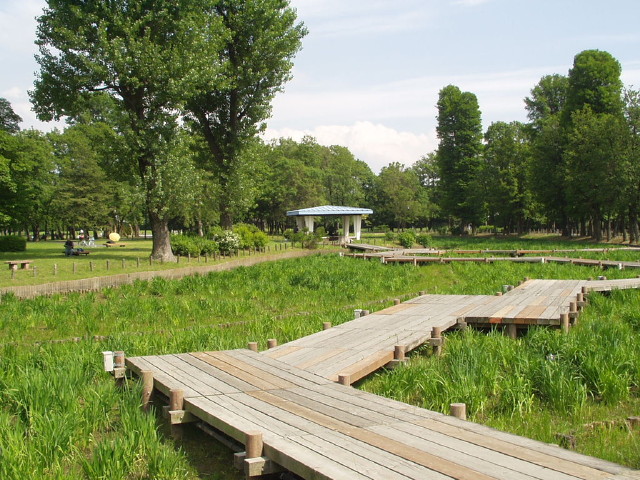 img0034.jpg