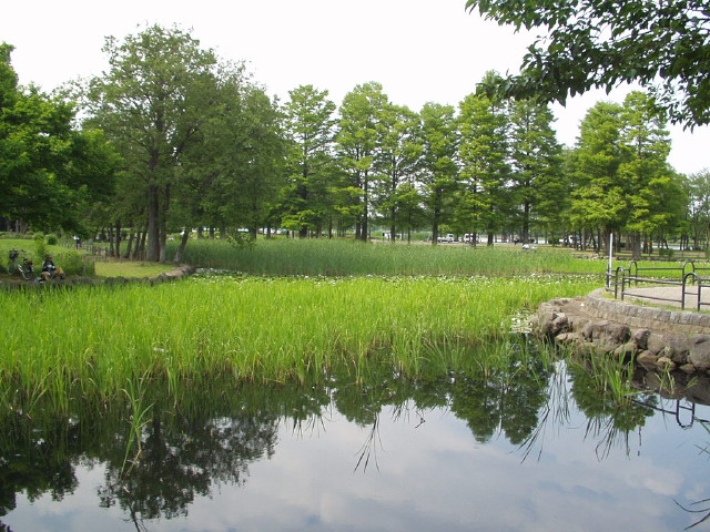 img0035.jpg
