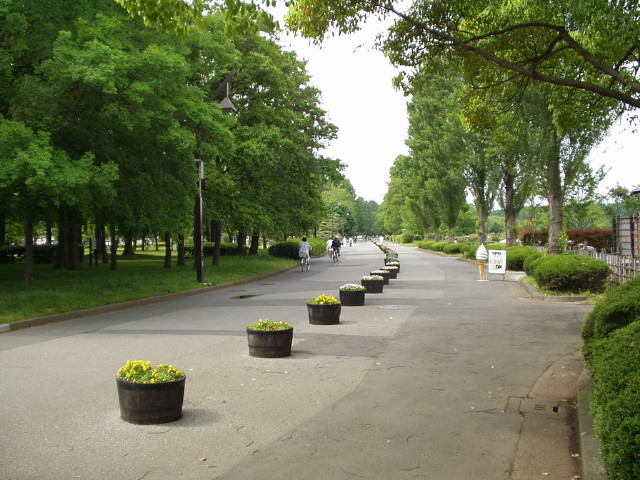 img0039.jpg
