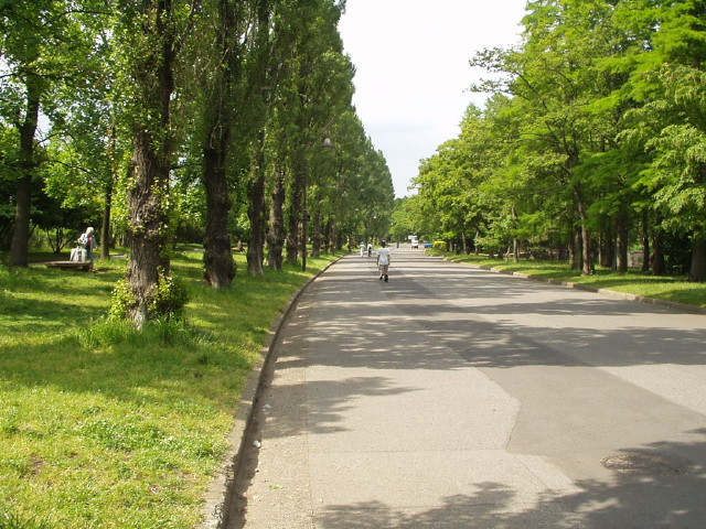img0043.jpg