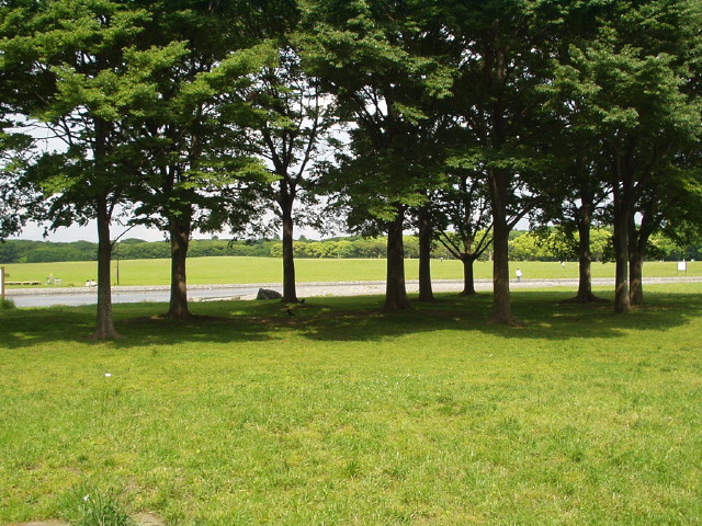 img0044.jpg