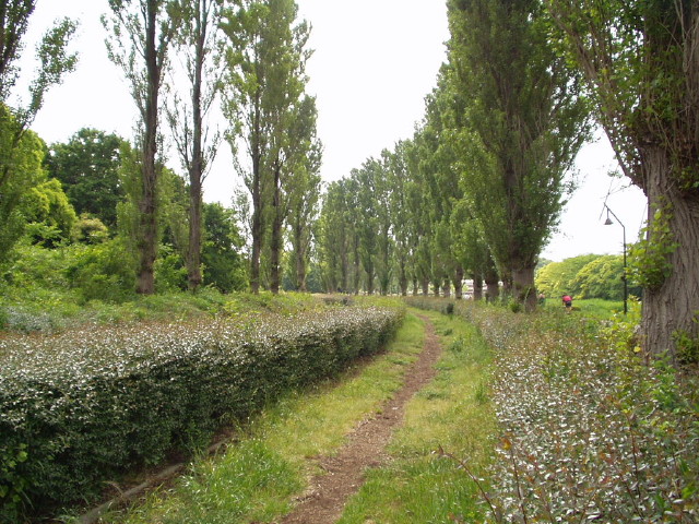 img0045.jpg