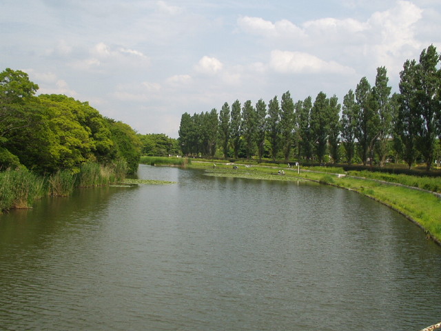 img0046.jpg